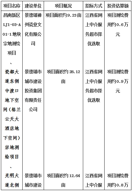 景德鎮(zhèn)市昌南新區(qū)LJ1-03-A01-1地塊、瓷都大道東側(cè)中渡口地下空間（格蘭云天大酒店地下空間）、光明大道北側(cè)利民路西側(cè)地下空間（青少年宮地下空間）、規(guī)劃二路北側(cè)地下空間地塊二（加速基地地下空間）、規(guī)劃二路北側(cè)地下空間地塊一（加速基地地下空間）、景德大道南側(cè)天寶橋西側(cè)地塊、景興大道東側(cè)如意路北側(cè)地下空間(社會(huì)公共服務(wù)