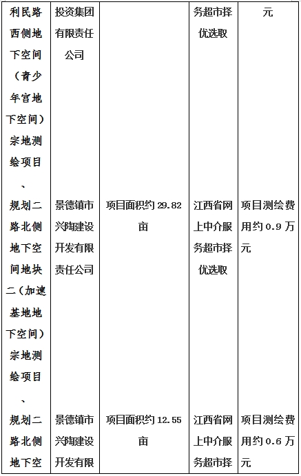 景德鎮(zhèn)市昌南新區(qū)LJ1-03-A01-1地塊、瓷都大道東側(cè)中渡口地下空間（格蘭云天大酒店地下空間）、光明大道北側(cè)利民路西側(cè)地下空間（青少年宮地下空間）、規(guī)劃二路北側(cè)地下空間地塊二（加速基地地下空間）、規(guī)劃二路北側(cè)地下空間地塊一（加速基地地下空間）、景德大道南側(cè)天寶橋西側(cè)地塊、景興大道東側(cè)如意路北側(cè)地下空間(社會(huì)公共服務(wù)